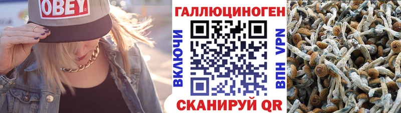 Псилоцибиновые грибы GOLDEN TEACHER Мышкин